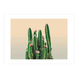 Flowered Cactus (Print Only) thumbnail