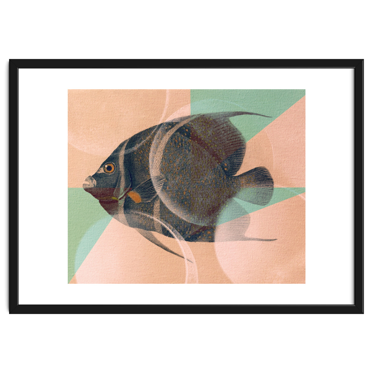 Fish Between Circles 2