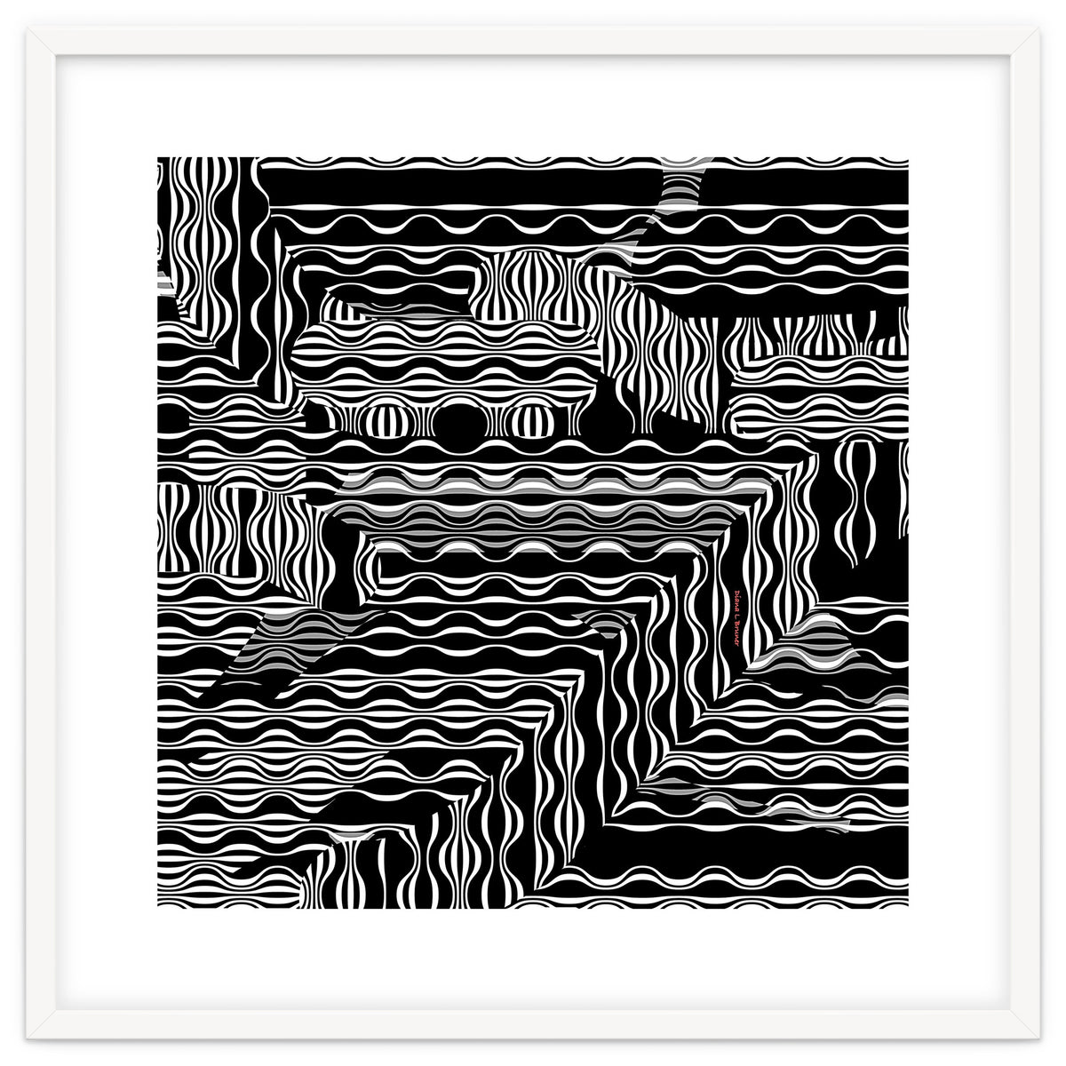 BLACK AND WHITE EXOTIC