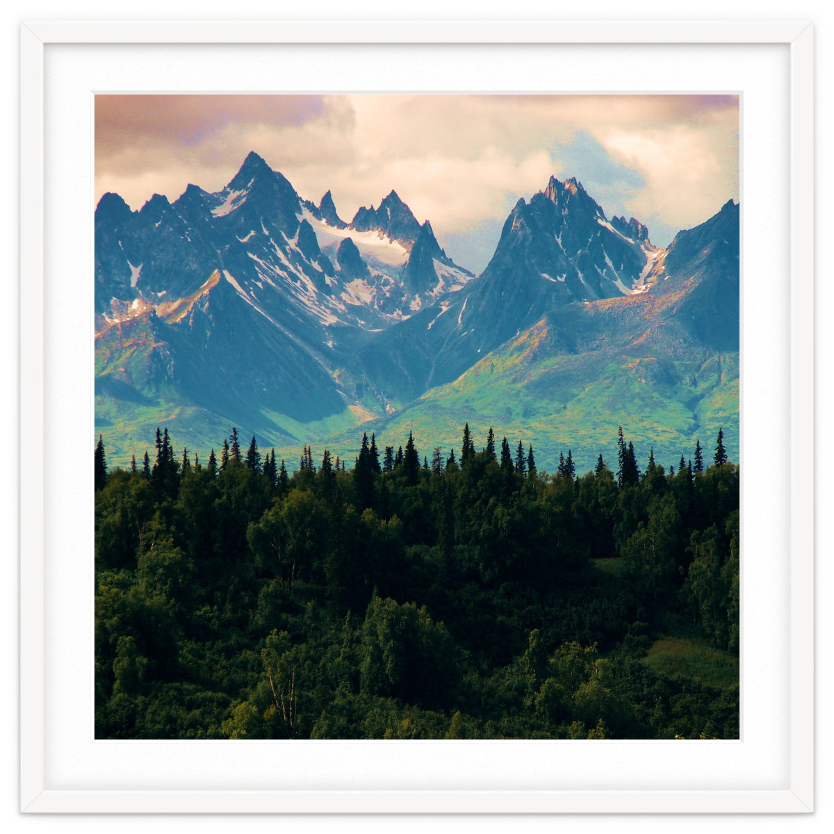 Escaping from woodland heights II