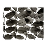 Branches and Leaves I (Print Only) thumbnail