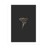 Gold Burst Botanicals (Print Only) thumbnail
