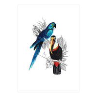 The Toucan and the Parrot (Print Only)