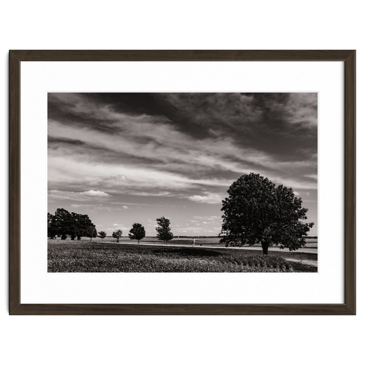Country Road, Illinois