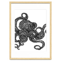 Barnacle Octopus