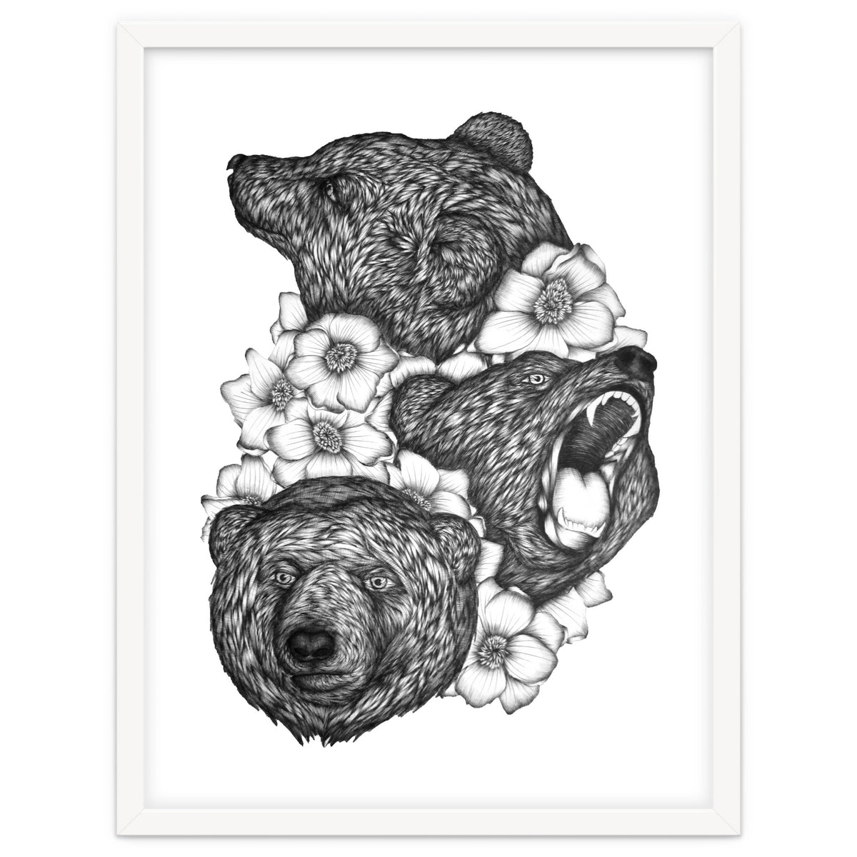 Bears In Bears