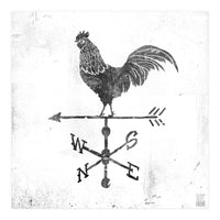 Weather Vane (Print Only)