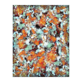 Little Falling Embers (Print Only) thumbnail