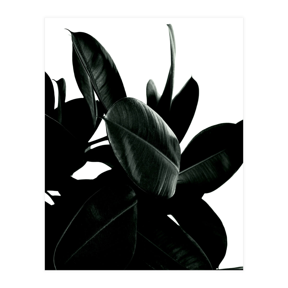 Dark Tree (Print Only)