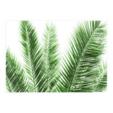 Palm Leaves (Print Only) thumbnail