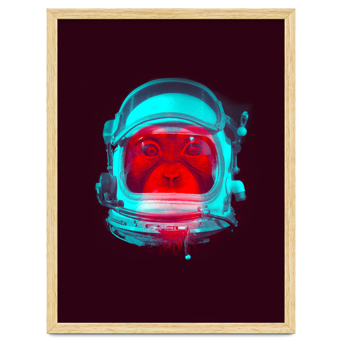 Astronaut