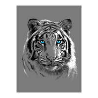 Sketch Tiger (Print Only)