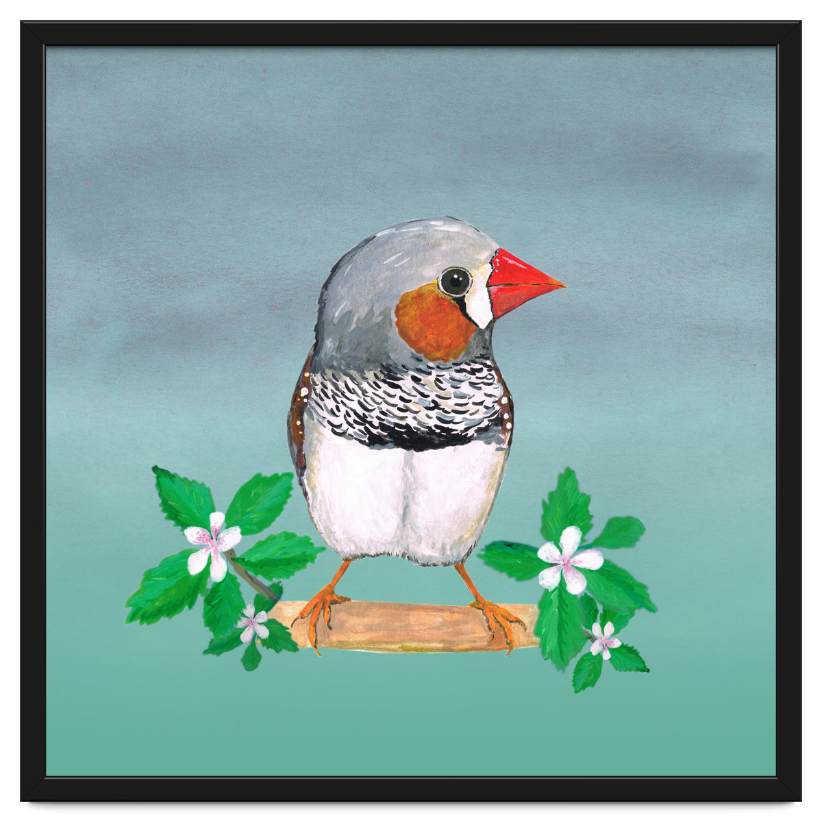 Zebra finch