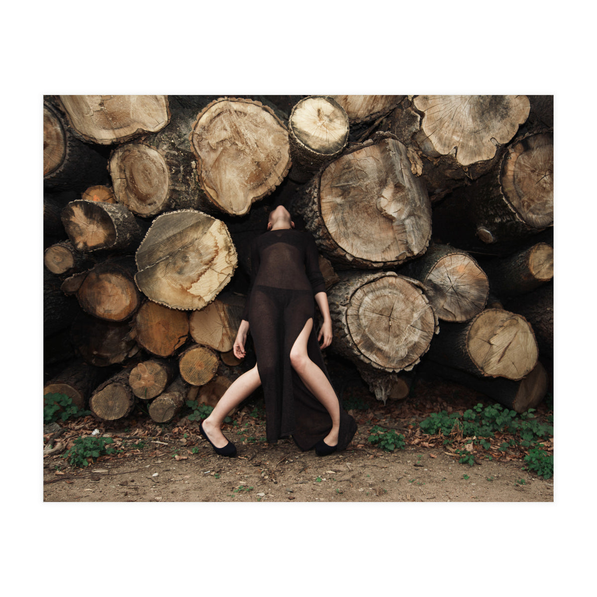 Slow Dancing Society (Print Only)