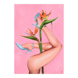 Bird Of Paradise (Print Only) thumbnail