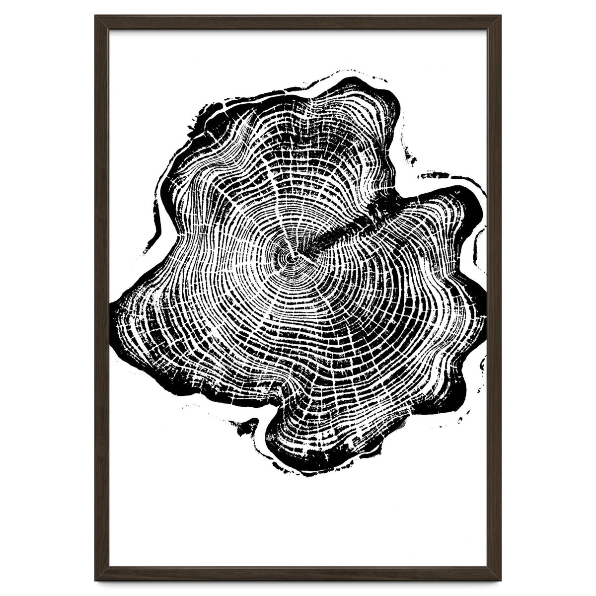 Alaskan Cypress, Tree Ring Art Print, Woodblock