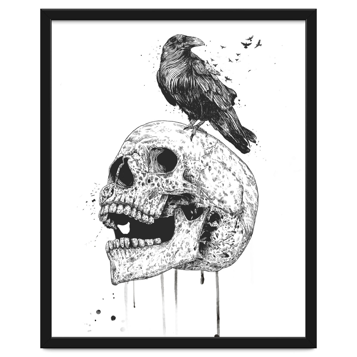 New Skull (bw)