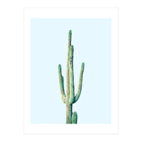 Loner Cactus (Print Only)