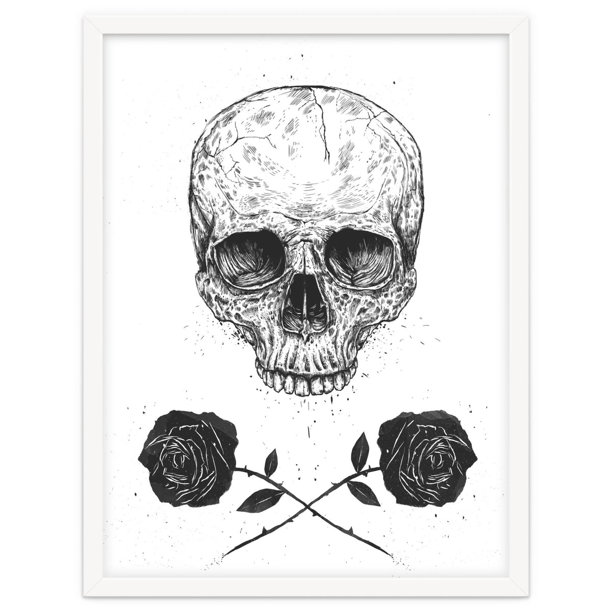 Skull N Roses