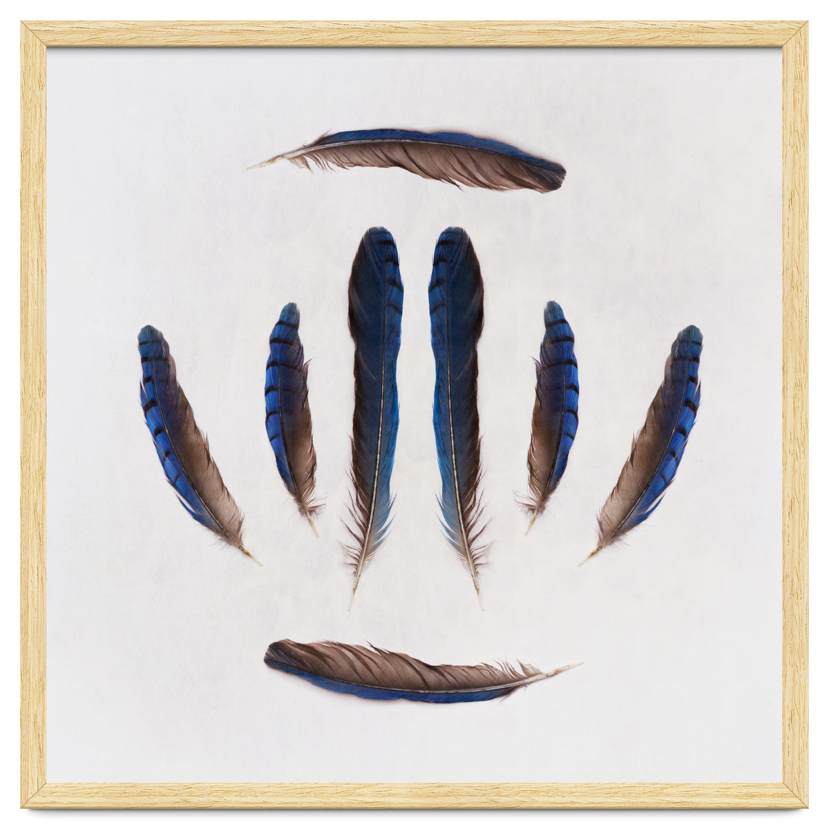 Forgive Me For Forgetting