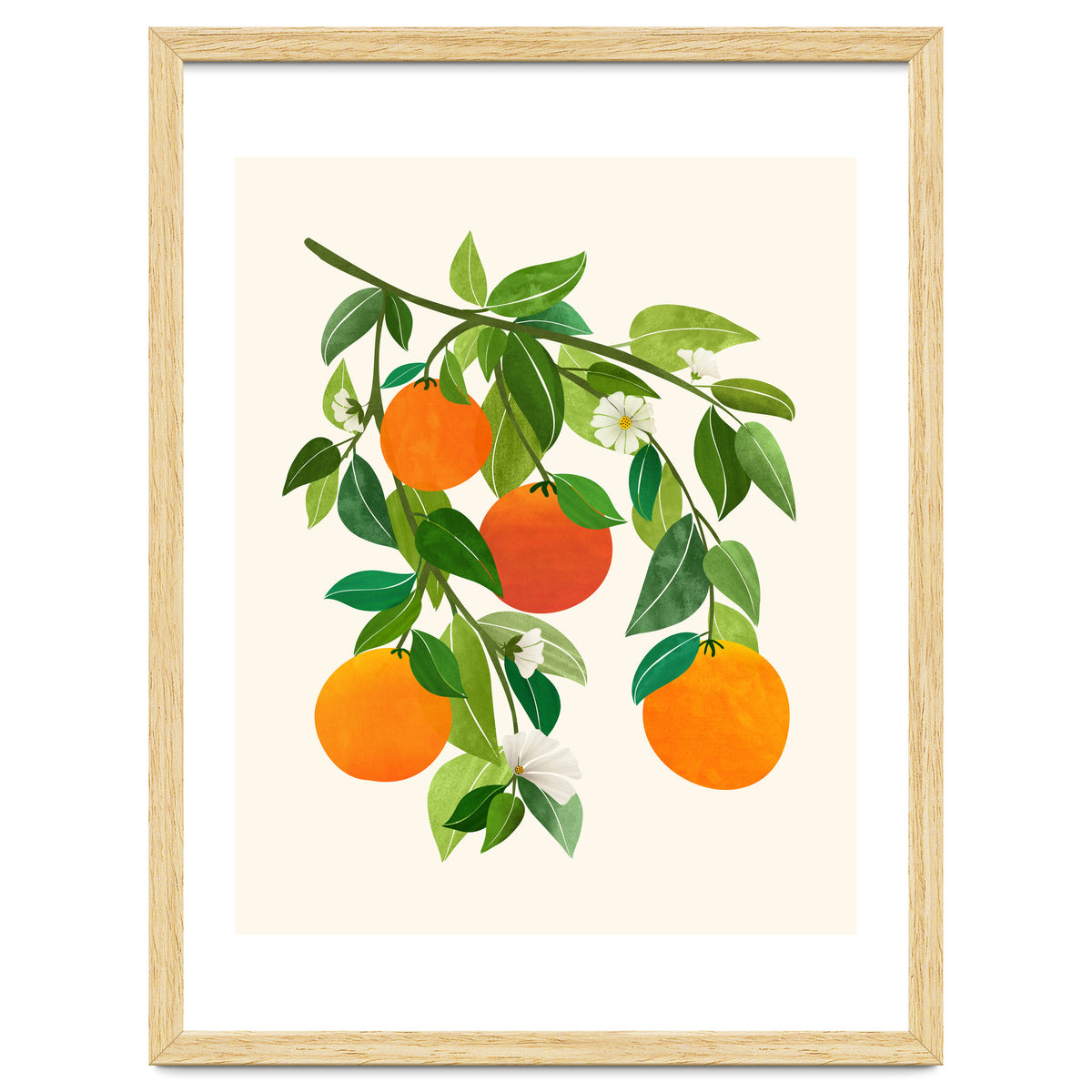 Oranges and Blossoms II