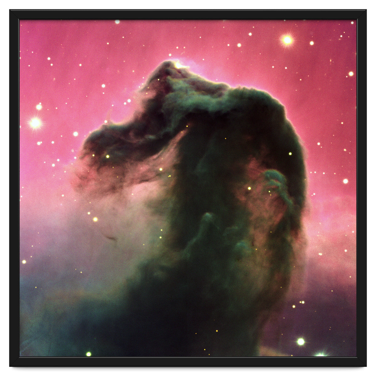 The Horsehead Nebula