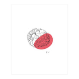 Raspberry (Print Only) thumbnail