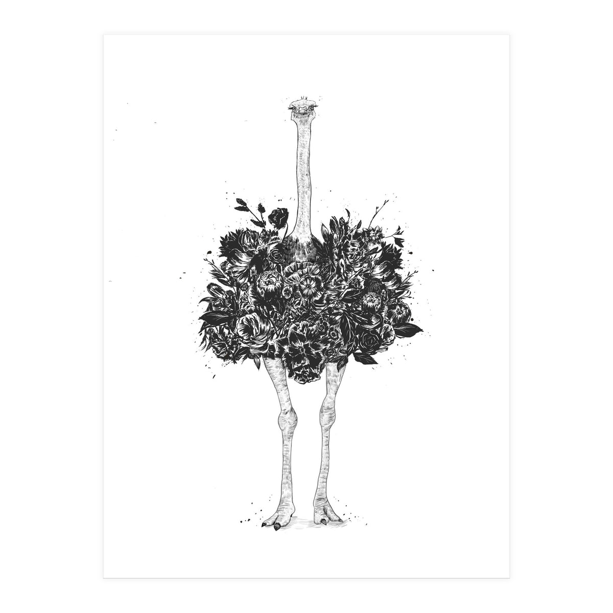 Floral Ostrich (Print Only)