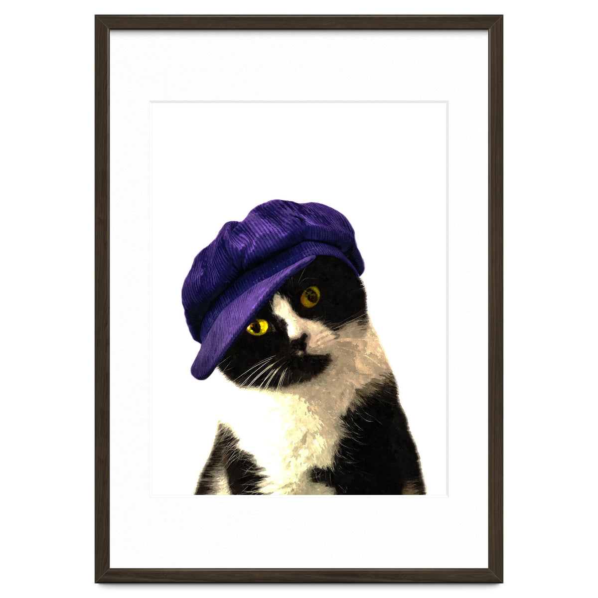 Cat Blue Hat