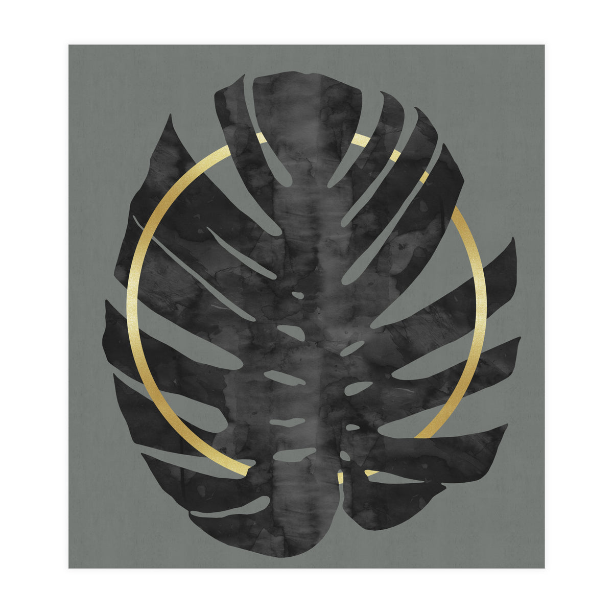 Monstera Deliciosa I (Print Only)