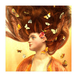 Flickering Dreams (Print Only) thumbnail