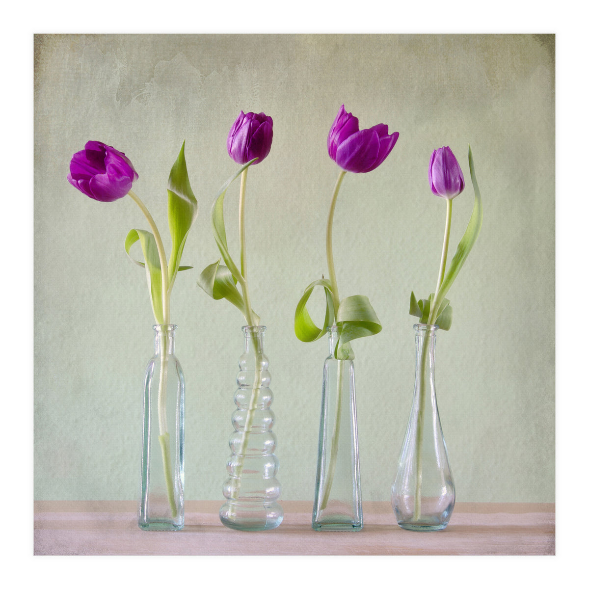 Tulips (Print Only)