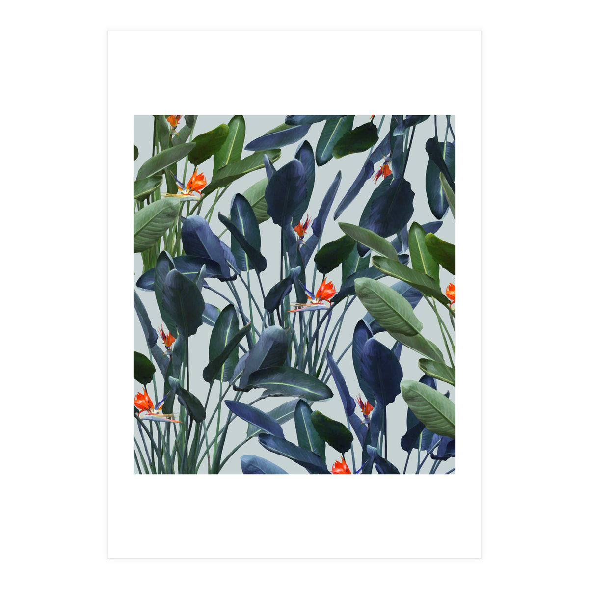 Optical Zen (Print Only)