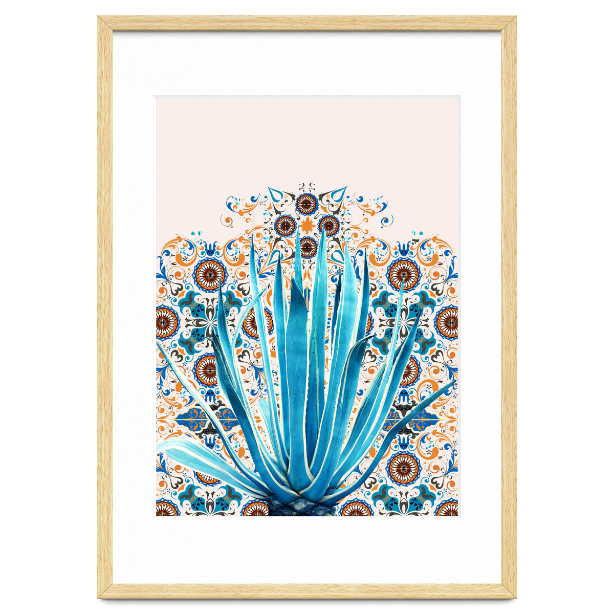 Cactus and Moroccan tiles