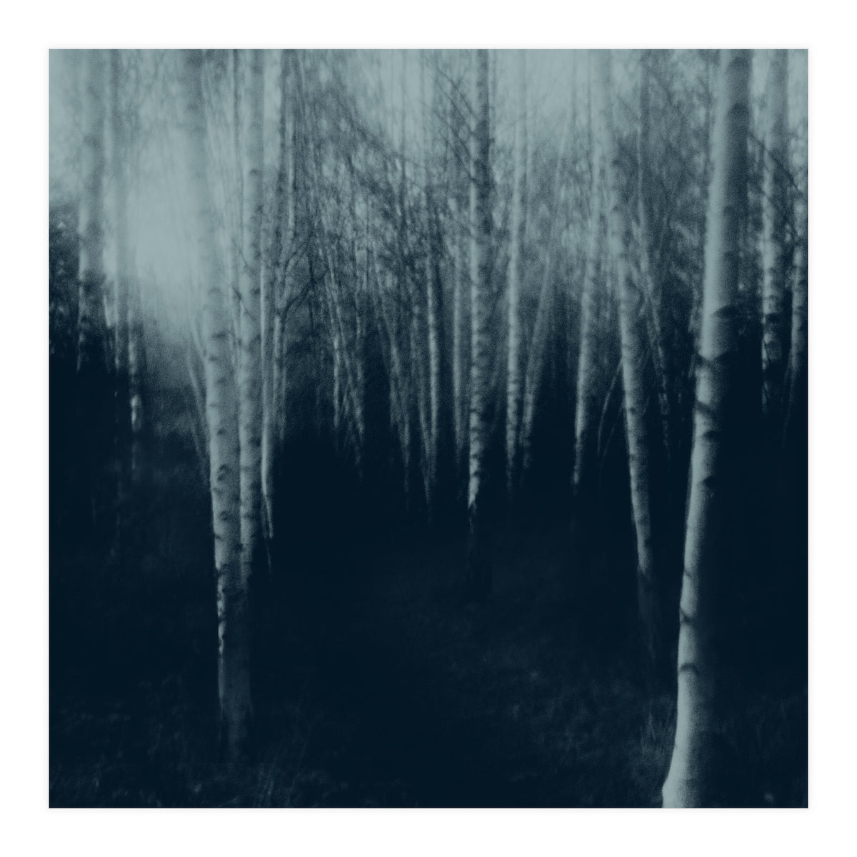 deep veins III (Print Only)