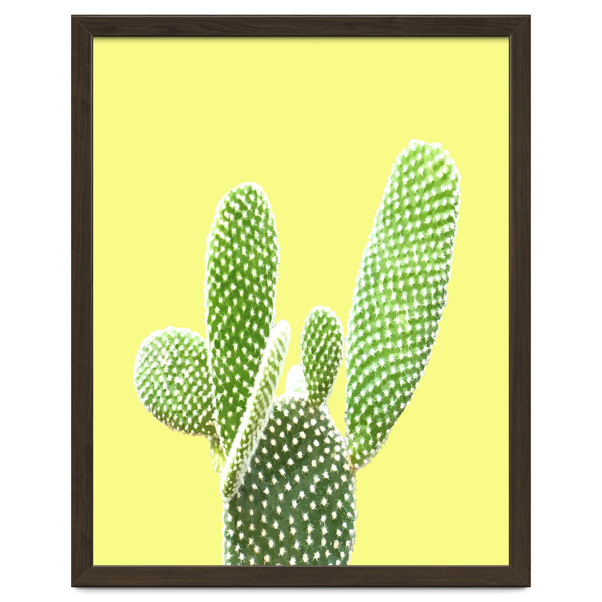 Cactus Yellow Background