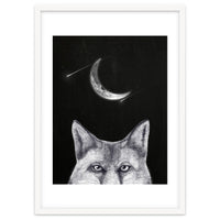 Fox Of The Night