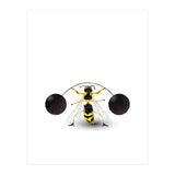 The Super Wasp (Print Only) thumbnail
