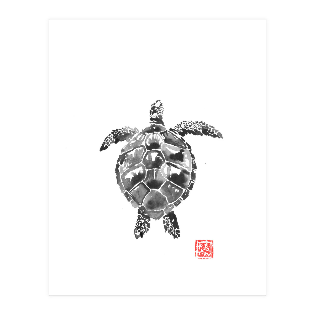 Tartoise (Print Only)