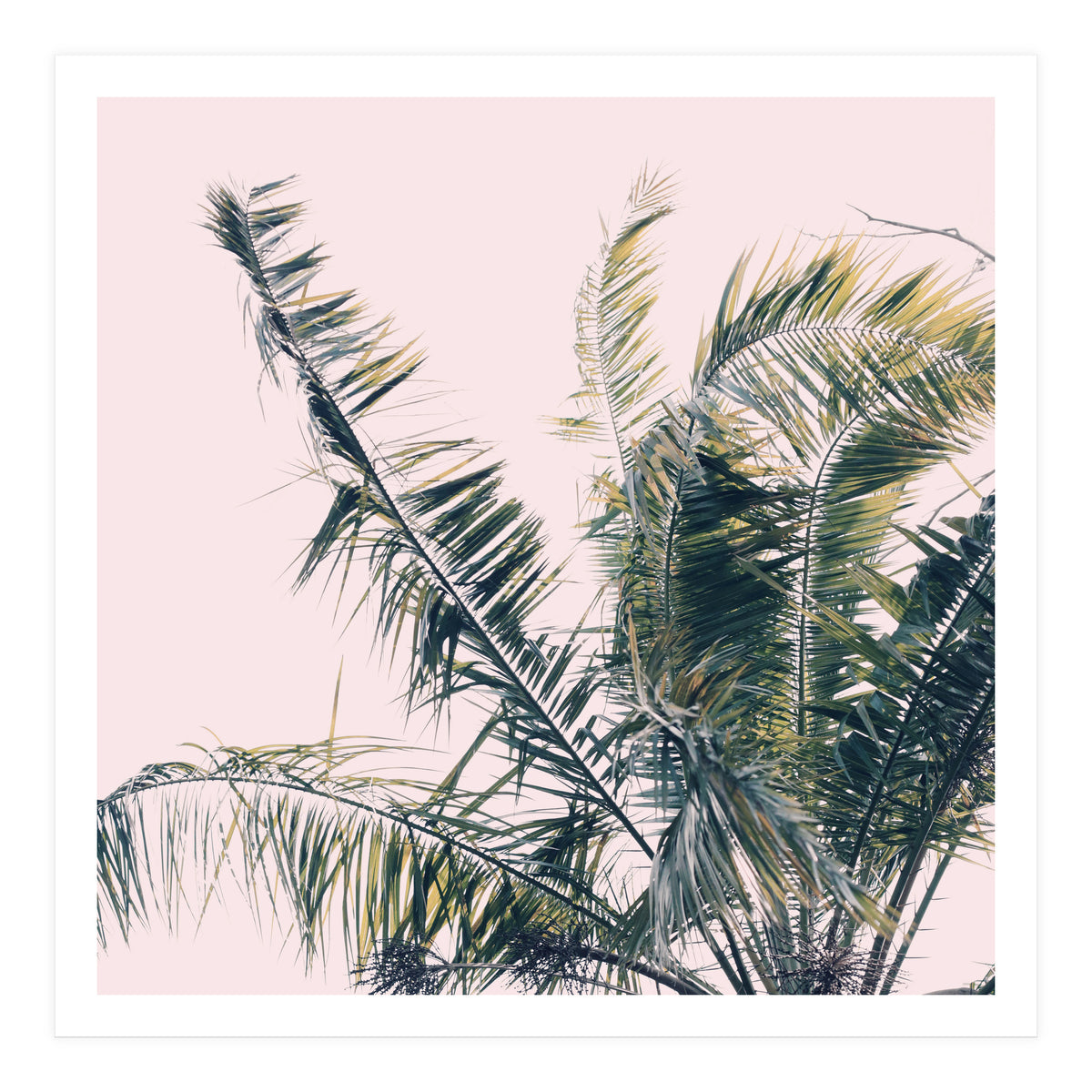 Winds Of Change #1 (Print Only)