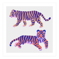 Tigers Squre (Print Only)