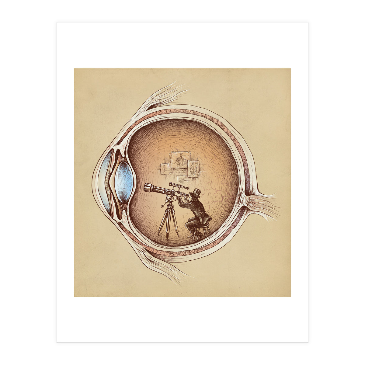 Extraordinary Observer (Print Only)