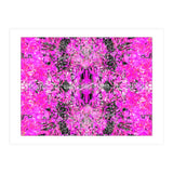 6 (Print Only) thumbnail