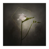 Graceful flower - Freesia | vintage style gold  (Print Only) thumbnail