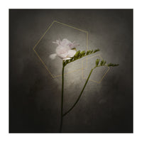 Graceful flower - Freesia | vintage style gold  (Print Only)