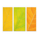 Autumn Leaves (Print Only) thumbnail