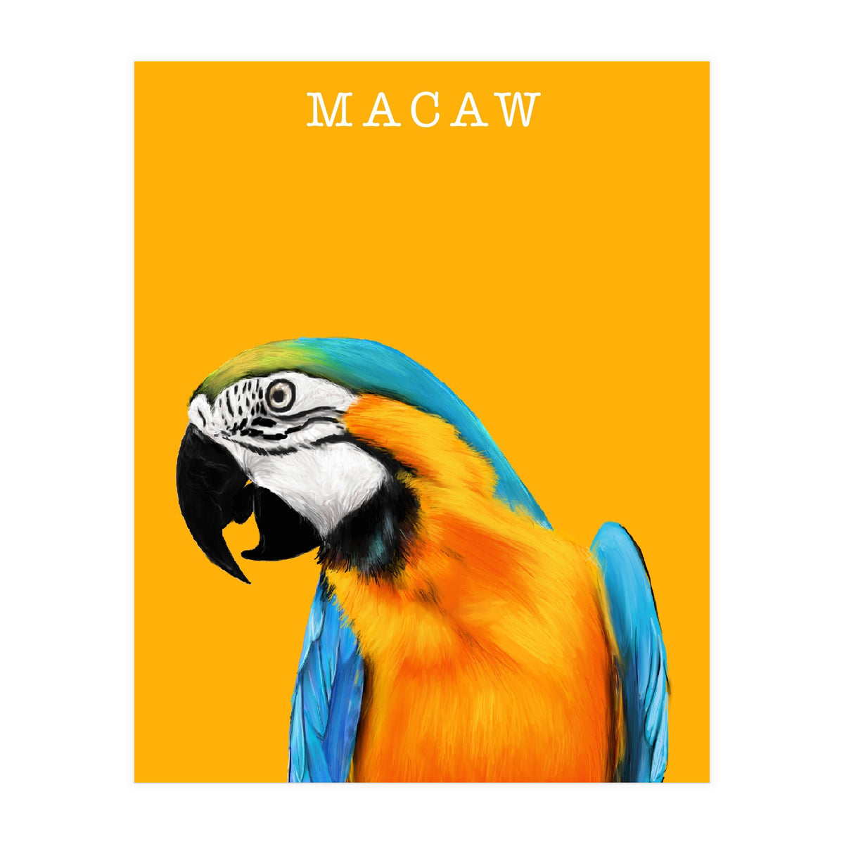Macaw (Print Only)