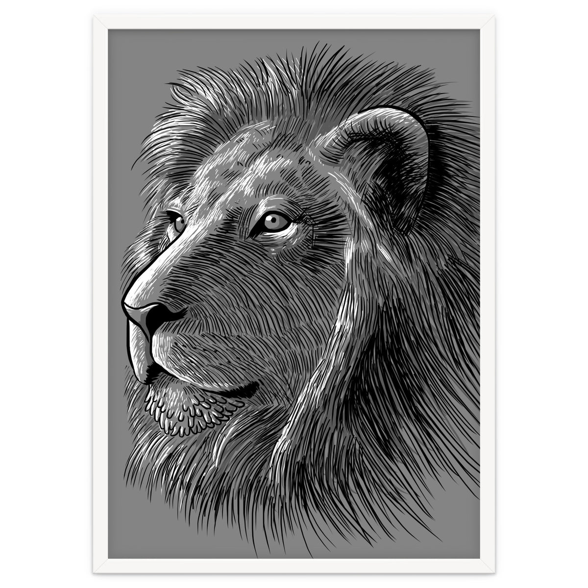 Sketch Lion