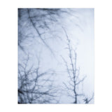 Forgotten Memories of Summer #21 (Print Only) thumbnail