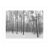 Let It Snow Forest (Print Only) thumbnail